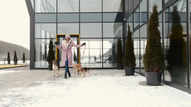 冬天，非洲裔美国妇女带着三只狗在玻璃楼附近散步 — 图库视频影像