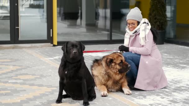 Eine schöne Afroamerikanerin geht mit zwei Hunden spazieren — Stockvideo