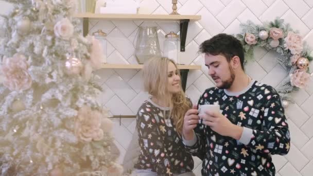 Attrayant joyeux homme et femme assis près arbre de Noël câlins — Video