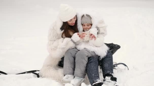 Η μητέρα διασκεδάζει κάνοντας έλκηθρο με παιδιά στο χειμερινό δάσος — Αρχείο Βίντεο