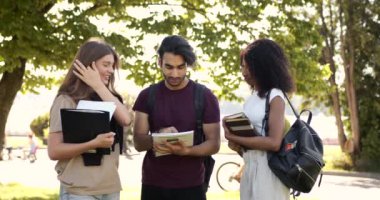Multi racial students discussing subject standing at park