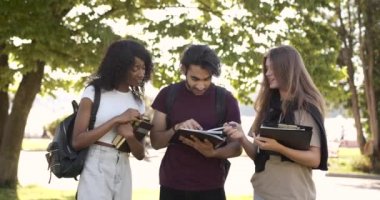 Multi racial students discussing subject standing at park