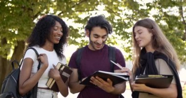 Multi racial students discussing subject standing at park