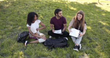 Students sitting on a lawn with books and learning