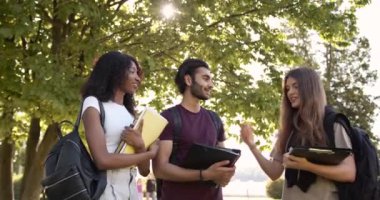 Multi racial students discussing topic at campus