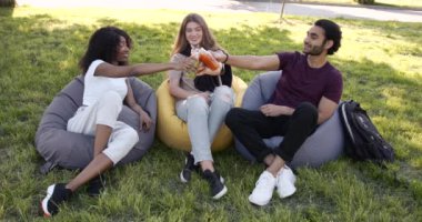 Cheerful young adults toasting with juice at park