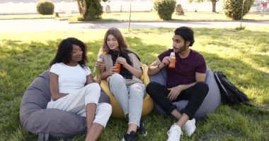 Multi ethnic students having lunch at park