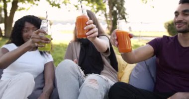 Cheerful young adults toasting with juice at park
