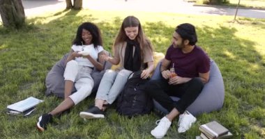 Multi ethnic students having lunch at park