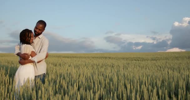 Счастливая романтическая пара, обнимающаяся на летнем поле — стоковое видео
