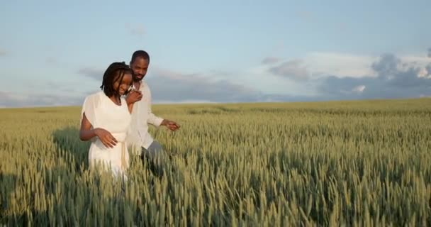 Jovem casal negro caminhando através do campo verde — Vídeo de Stock