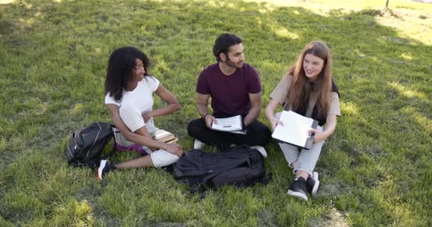 Студенти сидять на газоні з книгами і навчаються — стокове відео