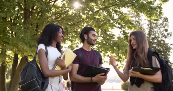 Multi racial students discussing topic at campus — стоковое видео