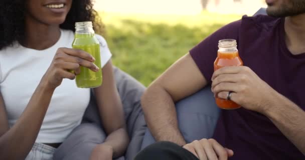 Cheerful young adults toasting with juice at park — Stockvideo