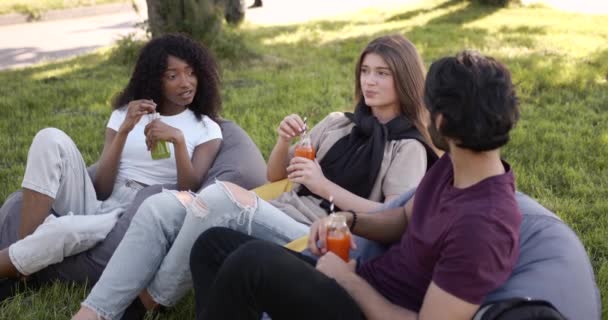Multi ethnic students having lunch at park — Stockvideo