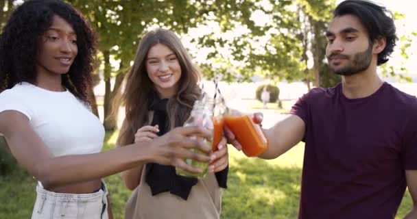 Cheerful young adults toasting with juice at park — Stockvideo