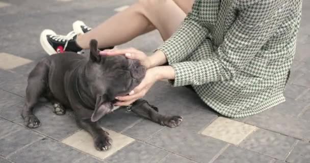 Young stylish woman and cute bulldog outdoors — Stock video