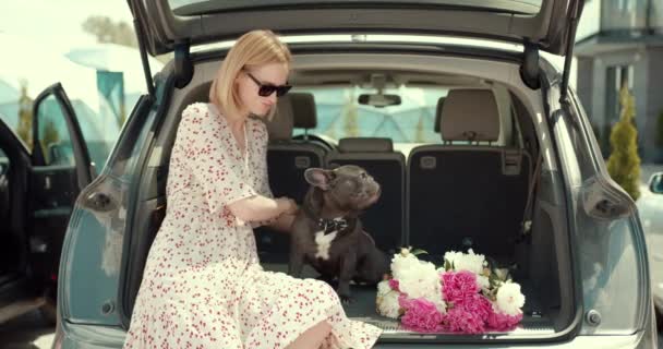 Young woman with bulldog and flowers sit in a car trunk — Wideo stockowe