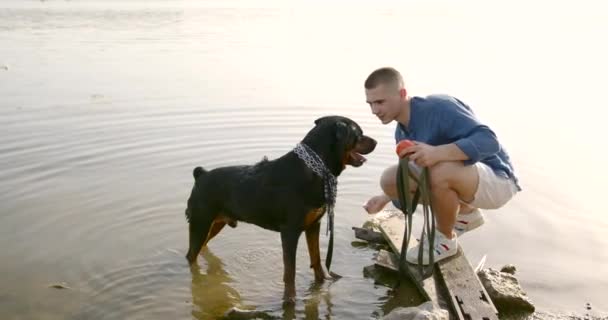 Young man playing with dog standing on lake — kuvapankkivideo