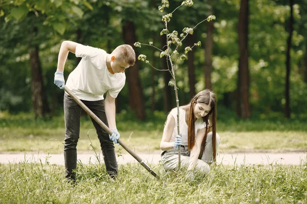 Pemuda relawan menanam pohon bersama-sama di taman — Stok Foto