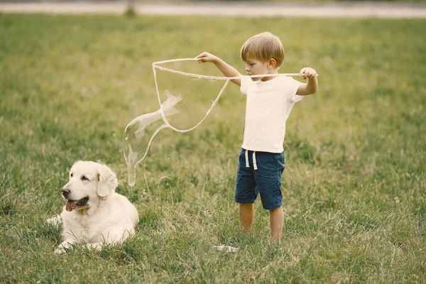 Kleine jongen het maken van een reusachtige zeep bubbels tijdens het spelen met zijn hond op een gras — Stockfoto