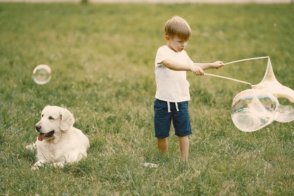 Kleine jongen het maken van een reusachtige zeep bubbels tijdens het spelen met zijn hond op een gras — Stockfoto