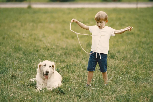 Niño haciendo una burbuja de jabón gigante mientras juega con su perro en una hierba —  Fotos de Stock