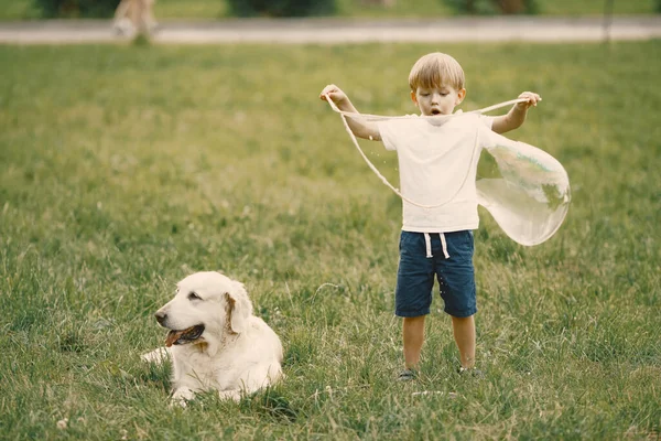 Niño haciendo una burbuja de jabón gigante mientras juega con su perro en una hierba —  Fotos de Stock