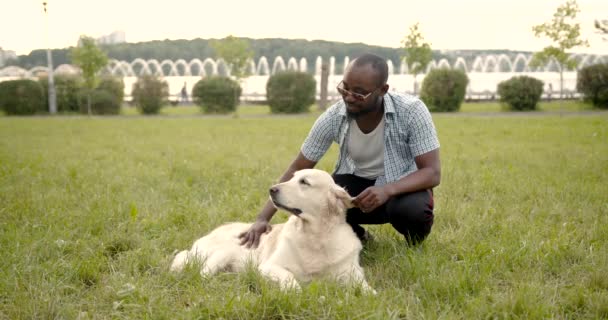 Hombre negro acariciando a su perro en el parque — Vídeos de Stock