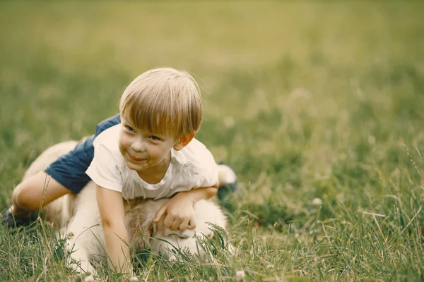 Pequeño niño jugando con su perro en una hierba —  Fotos de Stock