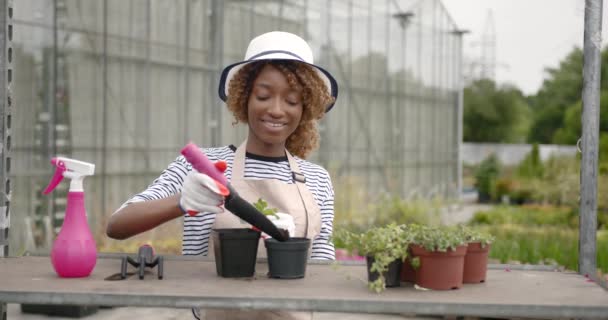 Kobieta czarny kwiaciarnia przeszczep kwiat w szklarni — Wideo stockowe