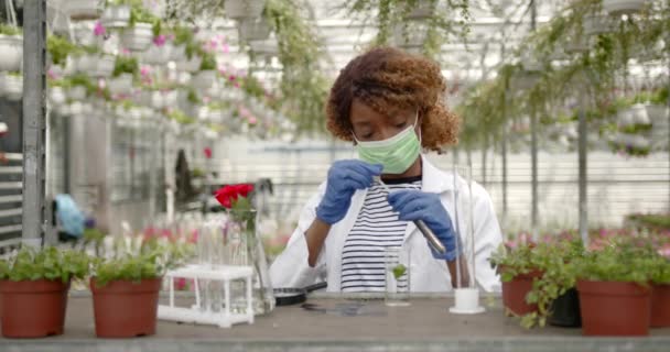 Mujer agrónoma en equipo de protección haciendo experimento en invernadero — Vídeo de stock