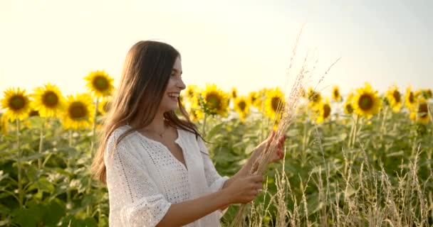 Flicka smeka gul blomma på ängen på solig dag — Stockvideo