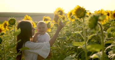 Anne ve küçük oğlu ayçiçeği tarlasında duruyorlar.