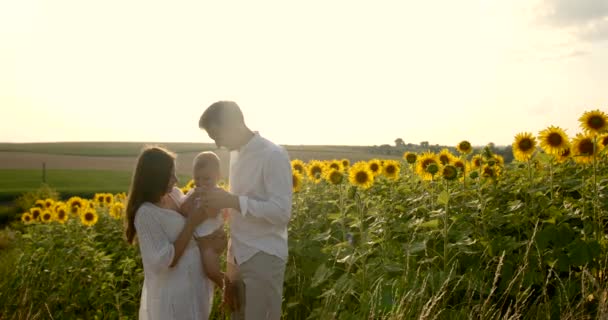 Familia joven con hijo pequeño pasándola bien en el campo de girasol al atardecer — Vídeo de stock