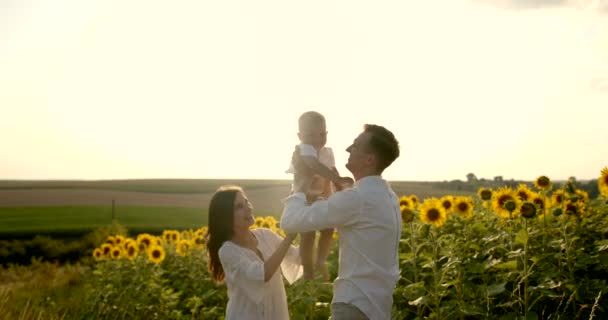 Ung familj med lille son har bra tid i solros fält vid solnedgången — Stockvideo