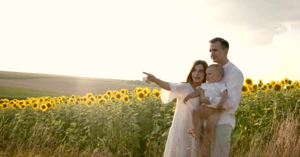Küçük oğluyla iyi eğleniyor ayçiçeği alanında günbatımında genç Aile — Stok video
