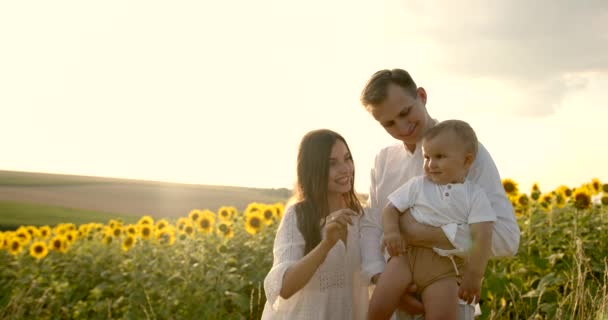Família jovem com filho pequeno se divertindo no campo de girassol ao pôr do sol — Vídeo de Stock