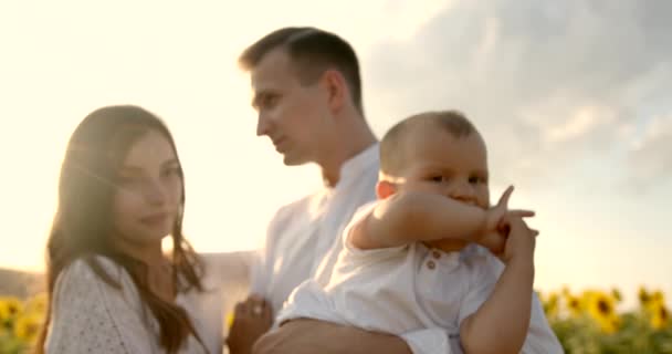 Junge Familie mit kleinem Sohn amüsiert sich bei Sonnenuntergang im Sonnenblumenfeld — Stockvideo
