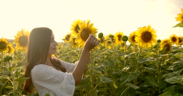 Menina acaricia flor amarela no prado no dia ensolarado — Vídeo de Stock