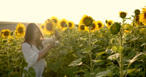 Девушка ласкает желтый цветок на лугу в солнечный день — стоковое видео