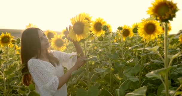 Flicka smeka gul blomma på ängen på solig dag — Stockvideo