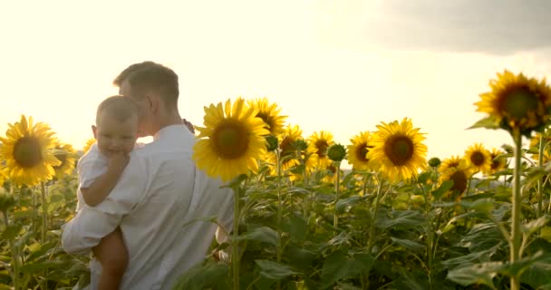 Padre sosteniendo a su pequeño hijo de pie en el campo de girasol — Vídeo de stock