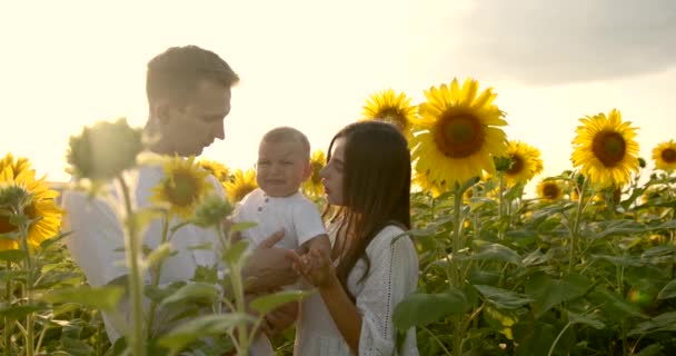 Família jovem com filho pequeno se divertindo no campo de girassol ao pôr do sol — Vídeo de Stock