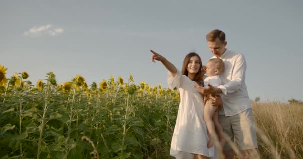 Junge Familie mit kleinem Sohn amüsiert sich bei Sonnenuntergang im Sonnenblumenfeld — Stockvideo