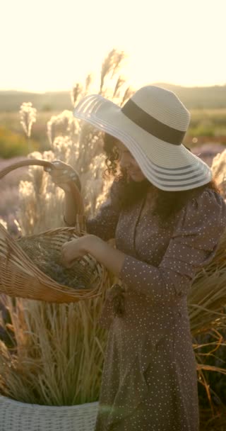 Menina indiana no campo de lavanda no pôr do sol — Vídeo de Stock