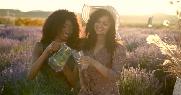 Vrouwen drinken limonade in het lavendelveld — Stockvideo