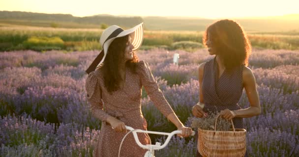 Junge multiethnische Frauen unterhalten sich im Lavendelfeld bei Sonnenuntergang — Stockvideo