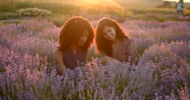 Giovani donne sedute nel campo di lavanda al tramonto — Video Stock