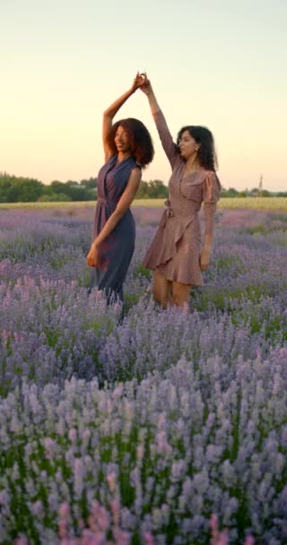 Kvinnelige, mangfoldige venner i lavendelfeltet ved solnedgang – stockvideo